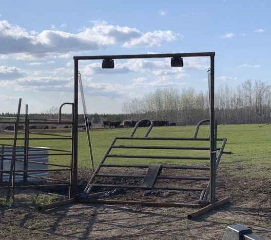 Drive Thru Gates – Freeland Livestock Equipment