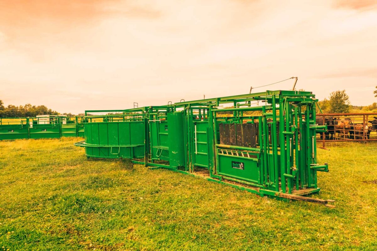 Portable Systems – Freeland Livestock Equipment